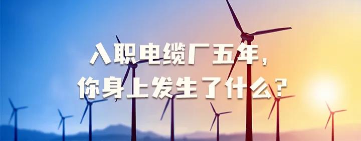 入職電纜廠五年，你身上發(fā)生了哪些變化~
