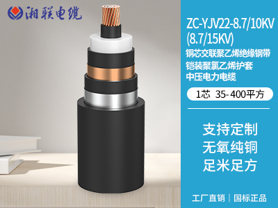 如何設(shè)計(jì)電纜以適應(yīng)高溫環(huán)境并保證其性能？